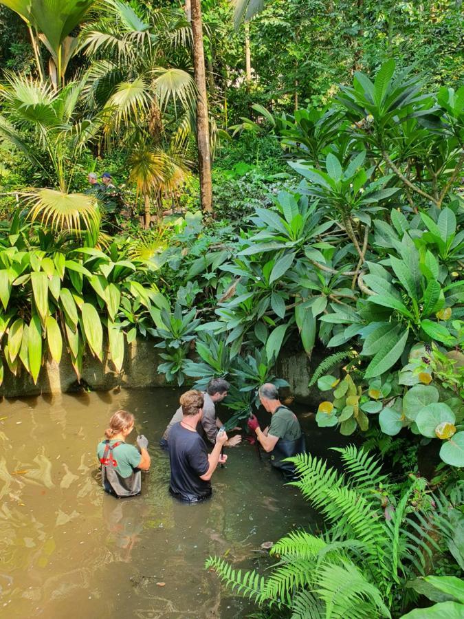 Хостел Eden'S Yard Backpackers Сент-Остел Экстерьер фото